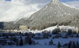 Davos Inn