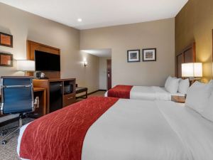 Comfort Inn Glenmont - Albany South