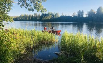 Tiny Hut in the Forest Overlooking the River