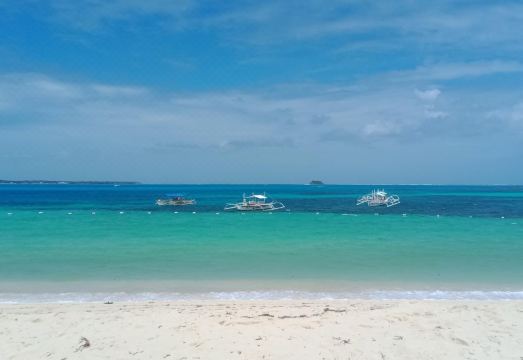 5. 도미텔 시아르가..