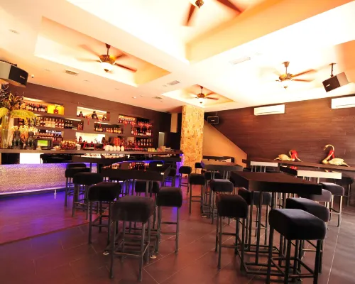 My Dream Hotel الترفيه والتسلية Photos