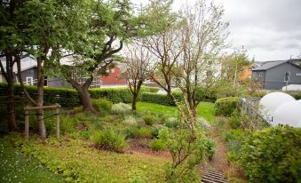 3 Storey, 5 Bedroom, 3 Bathroom House in the Center of Tórshavn