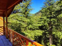 Mid Conifer Hotel a Chamba
