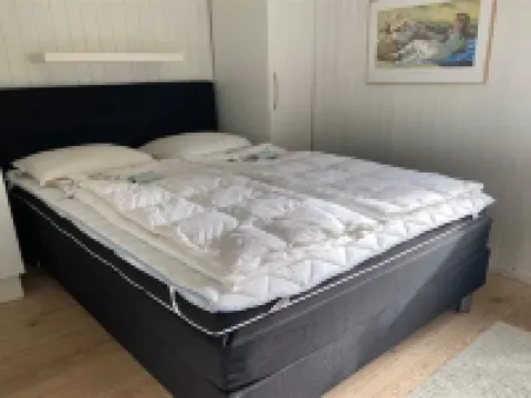 "Markvor" - 400m from the Sea