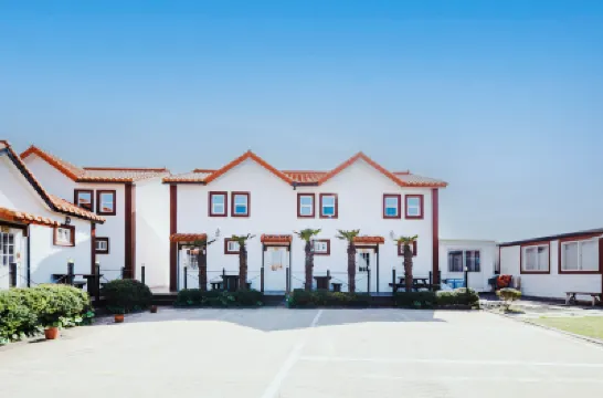 제주 세화달토끼 세화 해변 주변 호텔