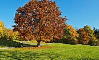 C & N Hotel - an der Messe Munchen