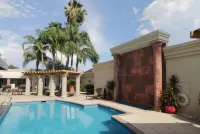 Wyndham Garden McAllen at la Plaza Mall - piscine