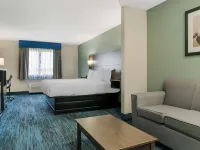 Best Western Clare Hotel Hotels in Clare County
