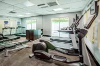 Fairfield Inn & Suites Brunswick Freeport - Gym