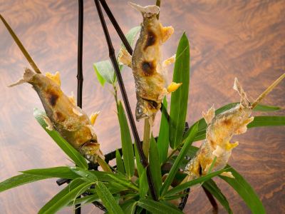 その他 美食と自家源泉を愉しむ静寂の宿　秘湯・鷹ノ巣温泉　鷹の巣館の写真