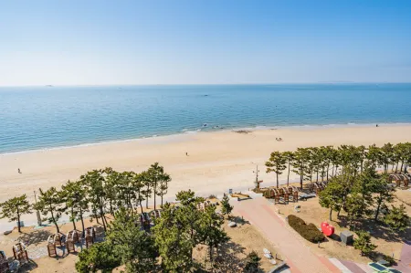 Boryeong (Daecheon) Gwanggaeto Hotel Отели рядом с достопримечательностью «Boryeong Mud»