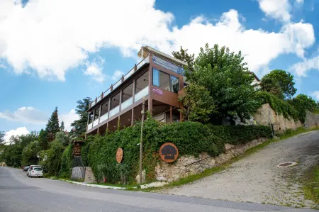 Sapanca Villa Suite Boutique Hotel Отели в г. Kurucesme Mahallesi