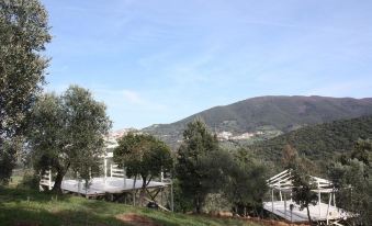 Vedetta Townhouse - Camere e Appartamenti Nel Centro Storico by Be Vedetta
