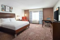 Hilton Garden Inn El Paso Airport - bar