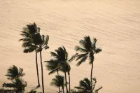 HY Beach Flats - Santa Maria - balcony