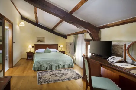 Boutique Hotel San Rocco Отели в г. Brkac