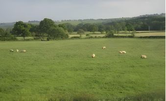 Poole Farm