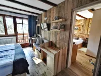 Ribno Alpine Hotel Hotels in Bled
