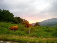 Lodge Mura