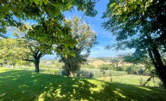 Spoleto Tranquilita + Yoga Studio - A Sanctuary of Dreams and Peace