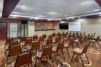 Quality Suites Addison-Dallas Hotels in Carrollton