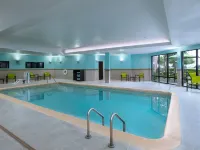 SpringHill Suites Dallas DFW Airport East/Las Colinas Irving Hotels in Irving