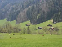 Chalet Bifigen
