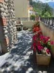 Character house at the foot of the canigou