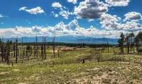 Private Mountain Cabin! King Beds  8 Acres Game Room Pet Friendly Hotels in Black Forest