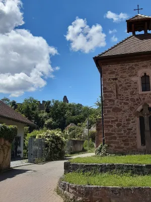 Apartment in fantastic location with view to the wineyards and the forrest