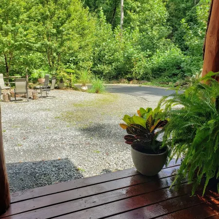 Moonlight Ridge - a wonderful little log cabin on 4 wooded acres Отели в г. Скотт Крик