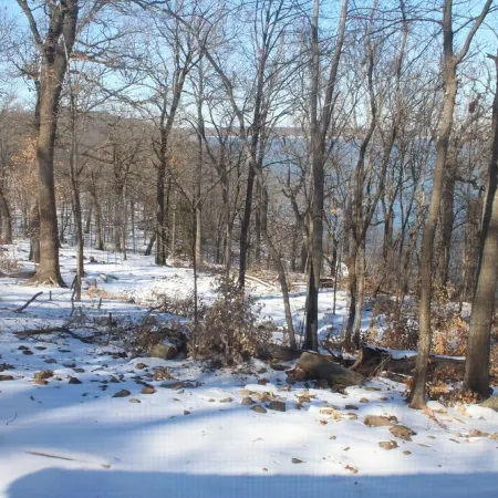 Lake View cottage, secluded, quiet, total remodel, 3 king beds