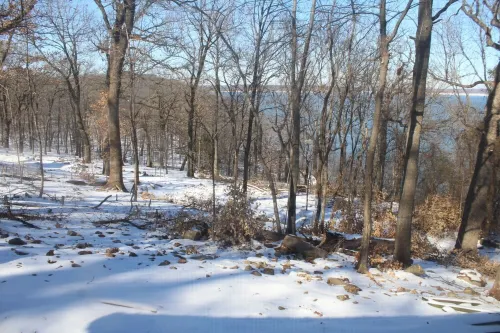 Lake View cottage, secluded, quiet, total remodel, 3 king beds