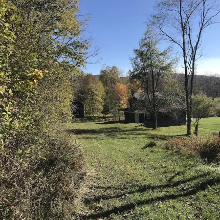 Authentic  Creekside Restored Farmhouse - Birding  w 60 AC of Wildlife Trails