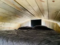 Quaint Tiny Home on Working Homestead-20 mins from Show Low! Hotels in Taylor