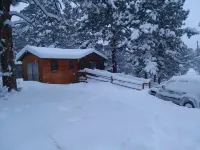 Holly's Hideaway, Cabin in the Woods