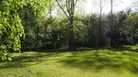 Private Apartment on Beautiful Grounds, Walking Distance to Landrum SC