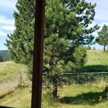 Private Country Cottage in the Black Hills