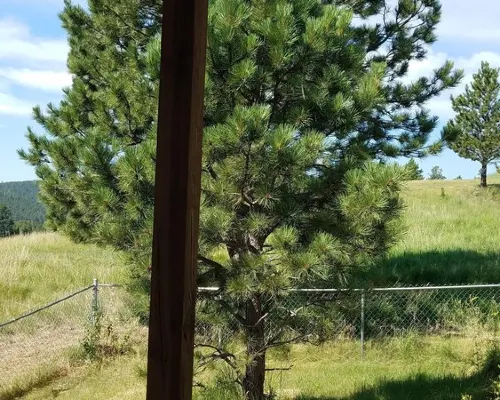 Private Country Cottage in the Black Hills Hotels in Mount Rushmore UT