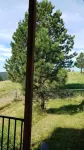 Private Country Cottage in the Black Hills - Apartments