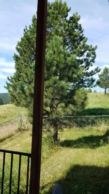 Private Country Cottage in the Black Hills