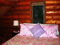 Upper Paradise Log Cabin - Nightly Rental in the Woods 무스패스 호텔