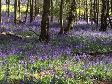 Stay in a Grand old House, Close to Hebden Bridge With Parking & pet Friendly Отели рядом с достопримечательностью «Hebden Bridge Camping Site»