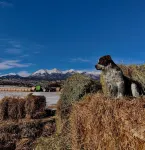 Mountain -Ranch Views! Near River Access! Fly Fishing.