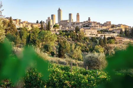 La Casetta del Borgo San Gimignano, relax nature swimming pool, STARLINK powered