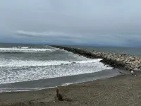 Dog-Friendly Coastal Home Near the Beach Hotel a Westport