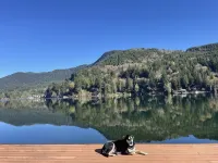 Cozy Cabin on Lake Sutherland with hot tub, huge dock and kayaks!