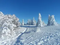 Welcoming chalet, quiet, luxurious amenities