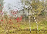 Circa 1900 Farmhouse Cottage - Pond - King Bed - Fenced - 8 Miles to Brenham