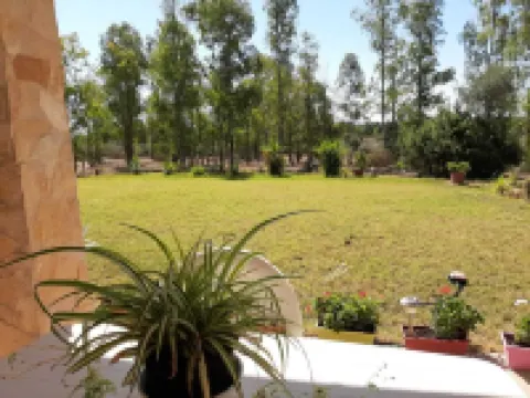 House immersed in the green, a few steps from the sea